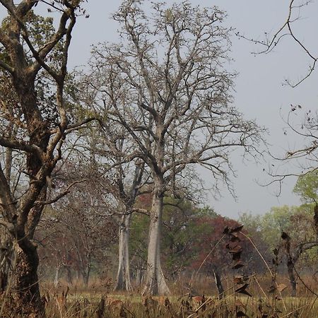 Babai Resort Pvt Ltd Bardiya المظهر الخارجي الصورة