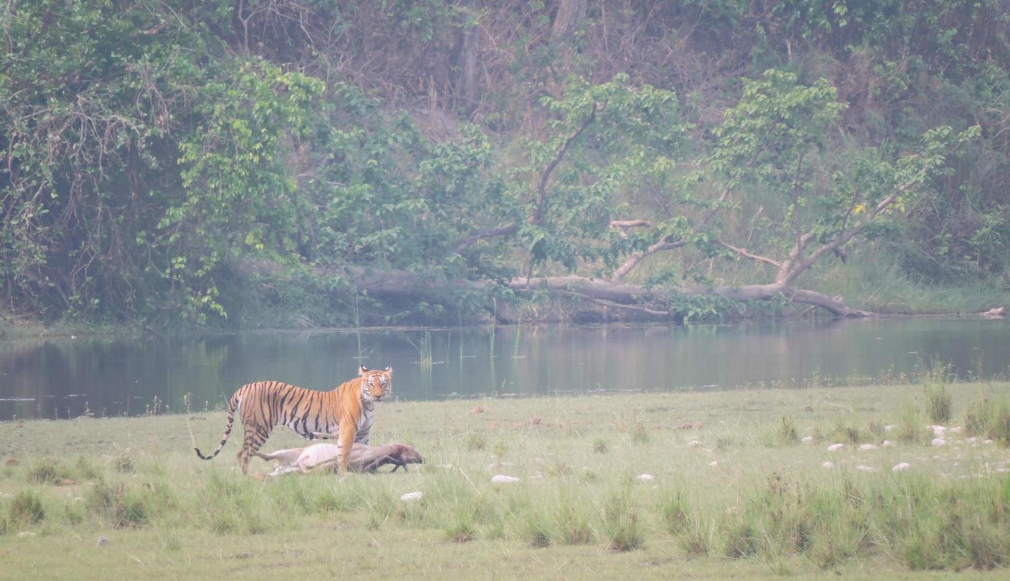 Babai Resort Pvt Ltd Bardiya المظهر الخارجي الصورة